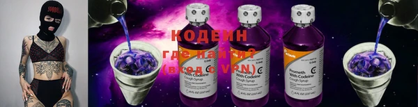 спайс Няндома