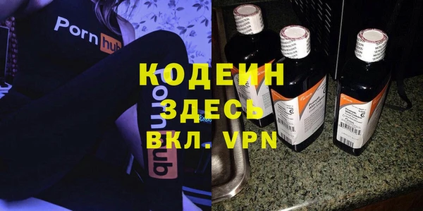 спайс Няндома