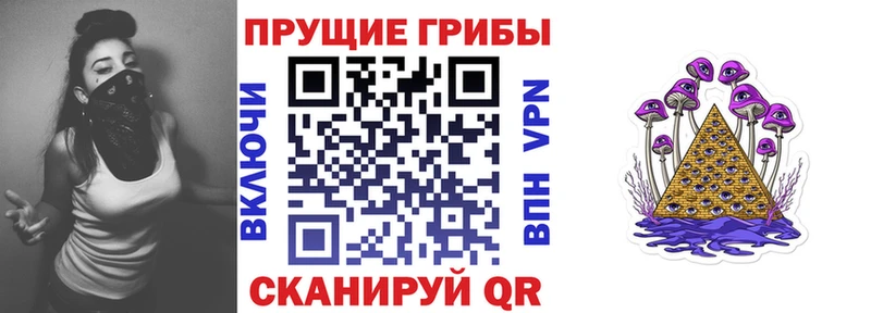 магазин    Саки  kraken зеркало  Псилоцибиновые грибы Psilocybe 