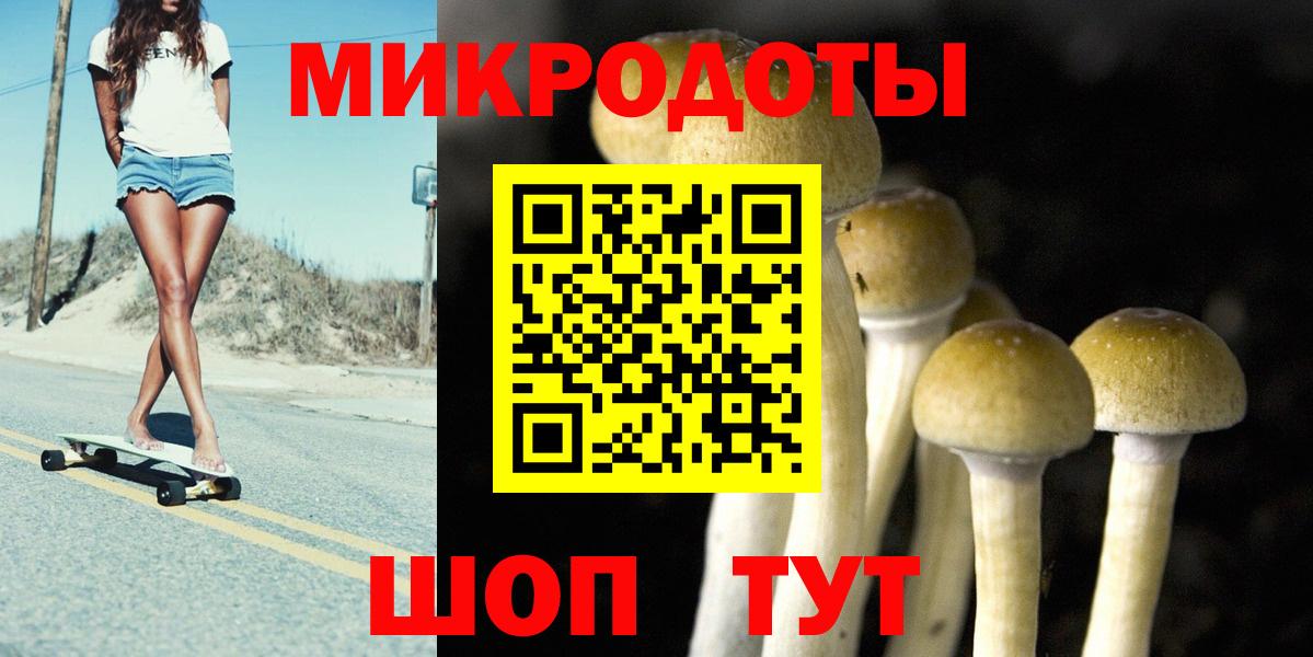 Галлюциногенные грибы Psilocybe  продажа наркотиков  Вход с VPN  Саки  Галлюциногенные грибы Psilocybine cubensis 